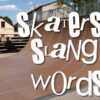 SKATEBOARD：スケートボード SLANG：スラング（俗語） DICTIONARY：辞書、用語集